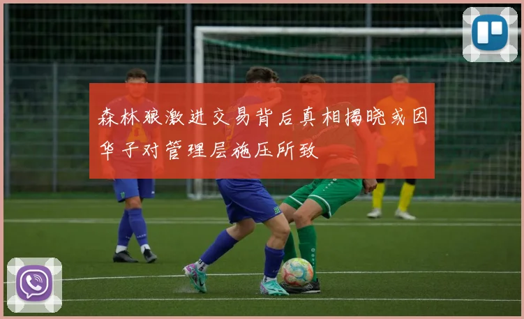 森林狼激进交易背后真相揭晓或因华子对管理层施压所致