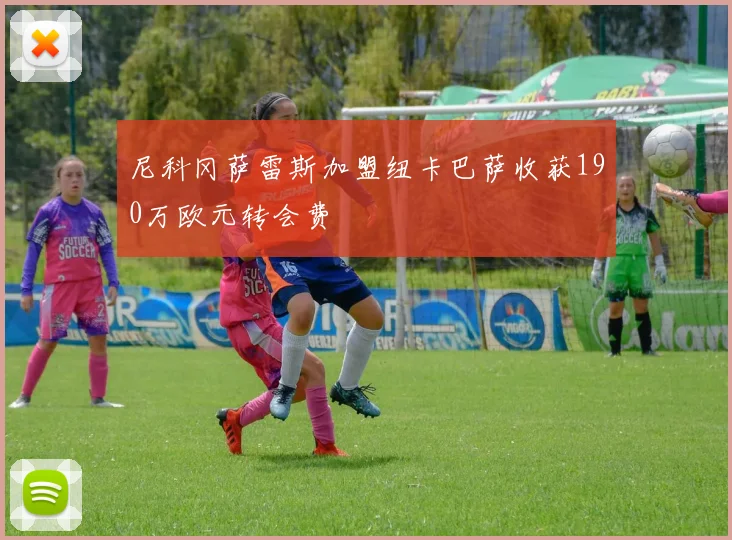 尼科冈萨雷斯加盟纽卡巴萨收获190万欧元转会费